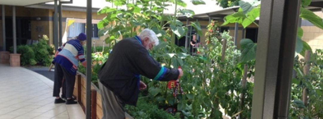 Living Care Coffs Haven – Wellbeing Garden