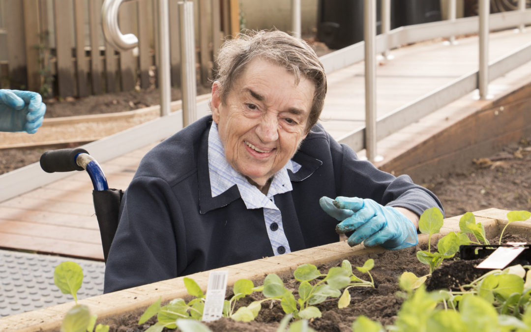 Wellbeing Garden Grant – Nobel Park, Melbourne