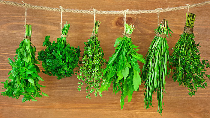 Maggie’s top tip – storing herbs