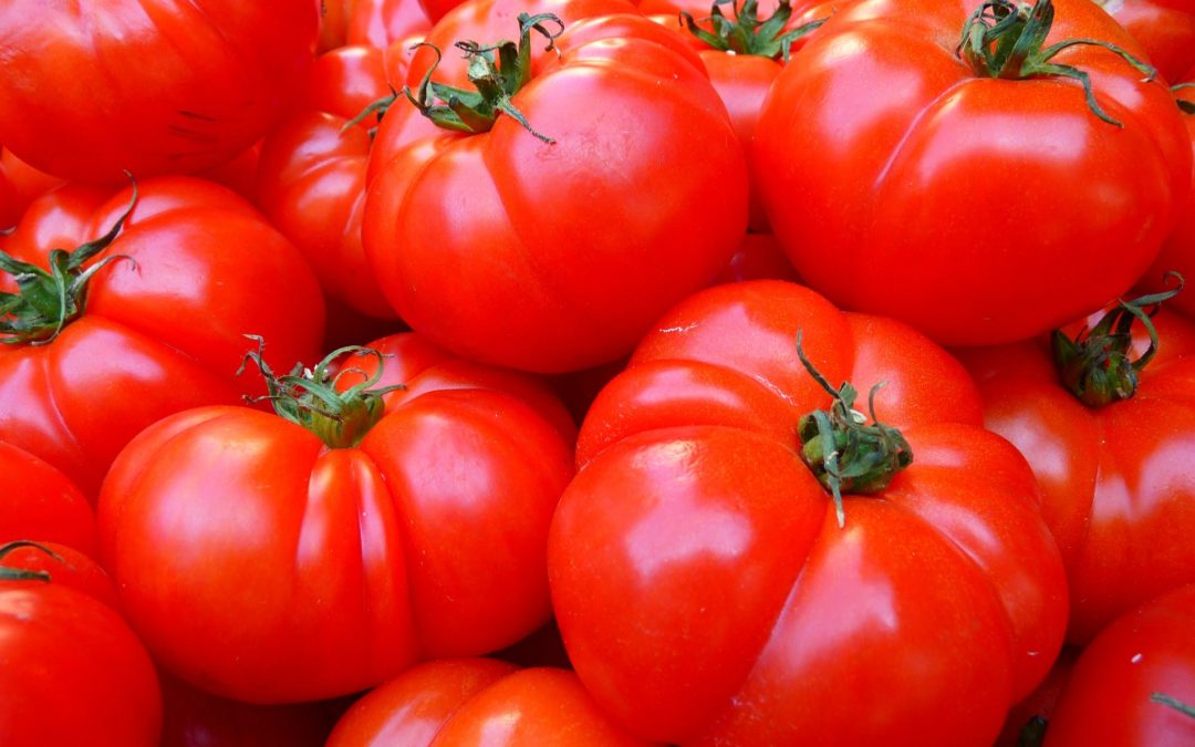 Tasty Tomatoes by Cath Manuel