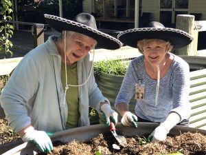 Gardening for Grief by Cath Manuel