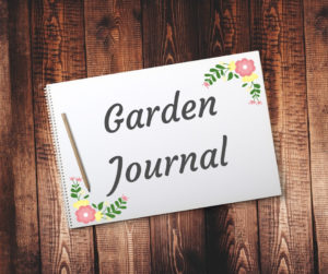 Maintaining Wellness with Gardening by Cath Manuel